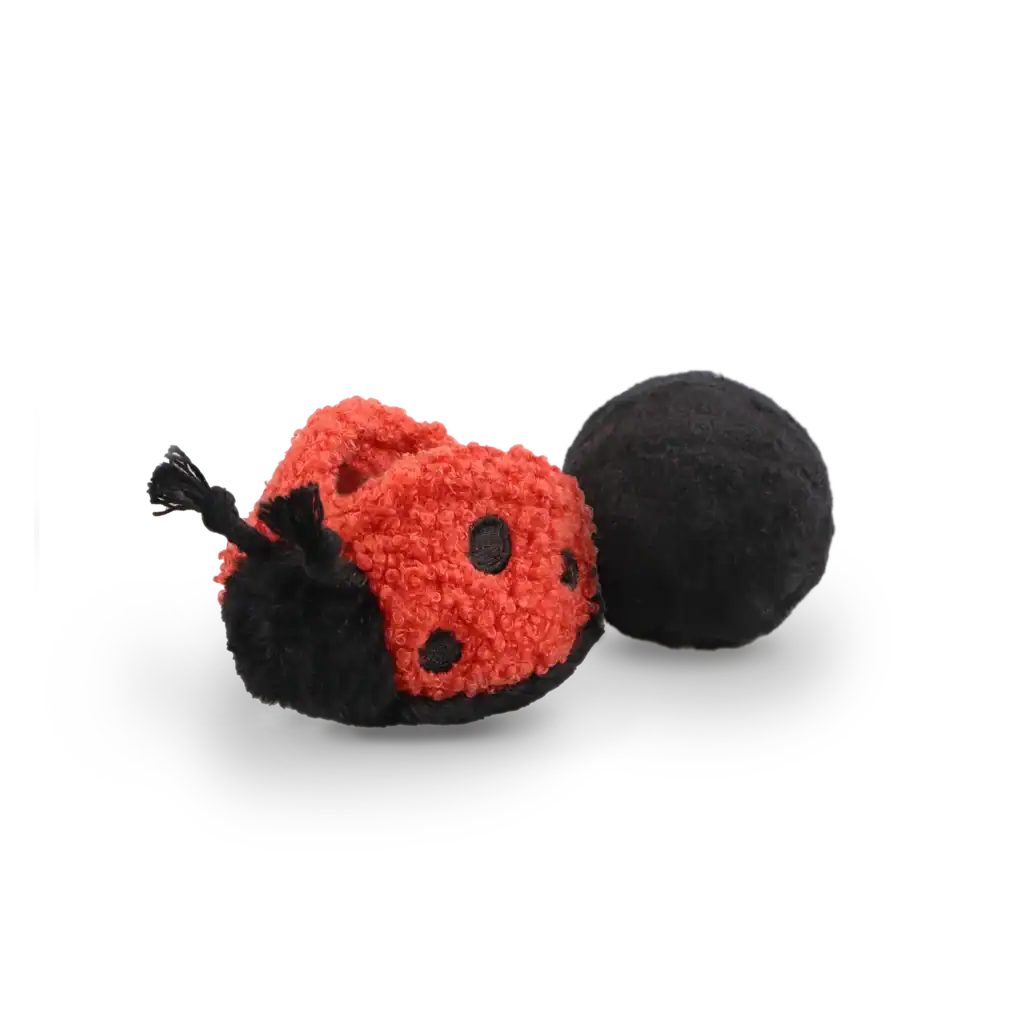 Ladybug Pop