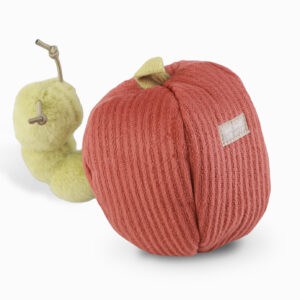 Apple Enrichment Toy