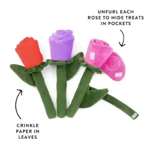 Second Product Image