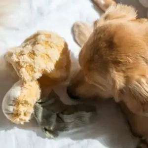 Second Product Image