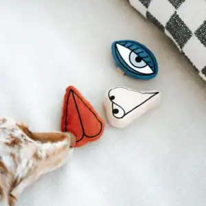 Second Product Image