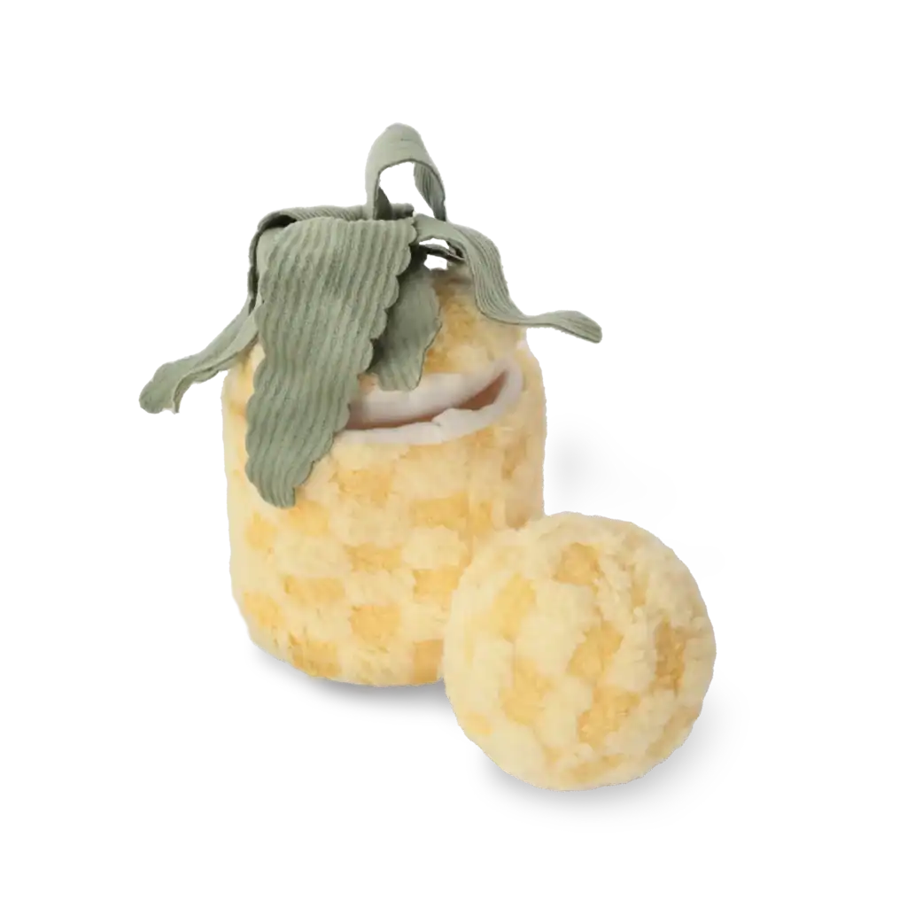 Pineapple Enrichment Dog Toy