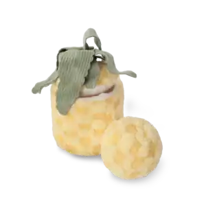 Pineapple Enrichment Dog Toy