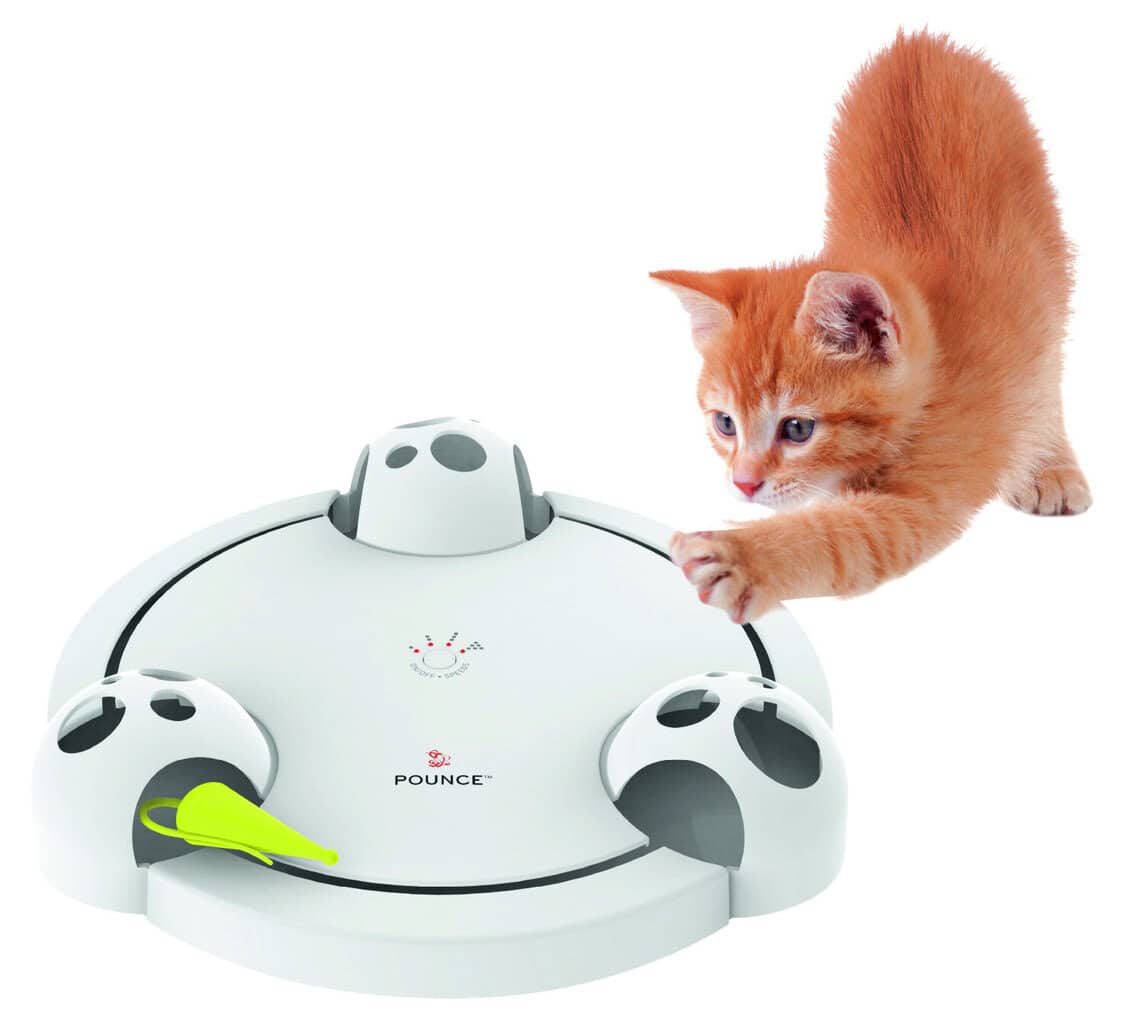 “Pounce” cat toy