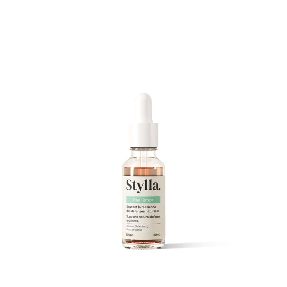 Liquid Resilience Supplement for Dogs