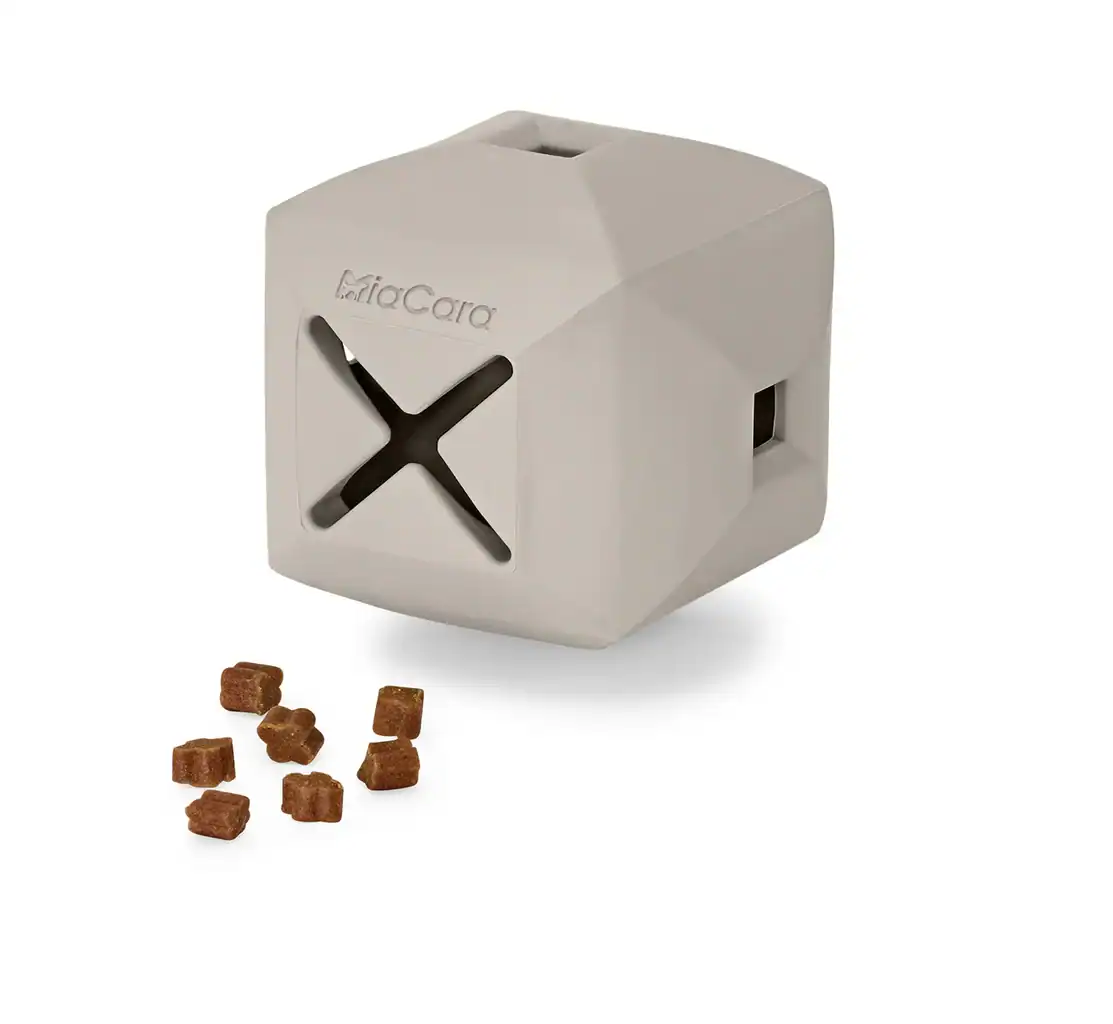 Mia Cara Dado Activity Toy