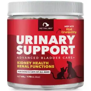 Cranberry Urinary Supplement