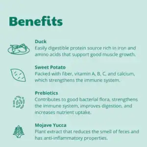 Second Product Image