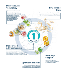 Second Product Image