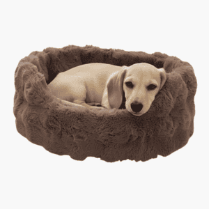 Dog Basket Nomi