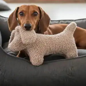 Plush Dog Dachshund Tom Paddy Gravel