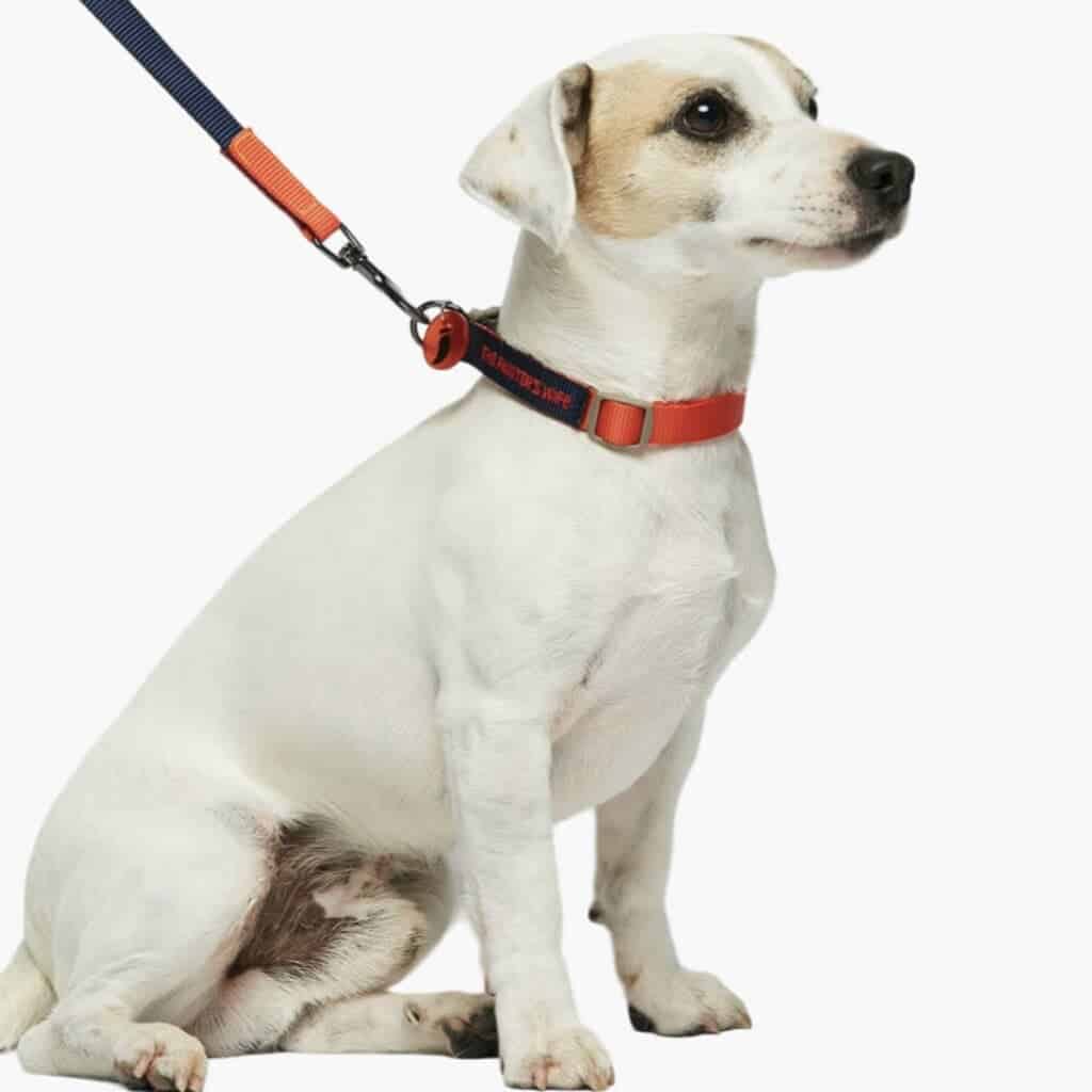 Sonia collar, red and navy blue