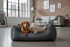 Second Product Image