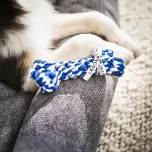 Second Product Image