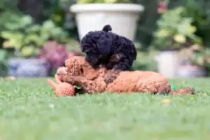 Second Product Image