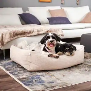 Second Product Image