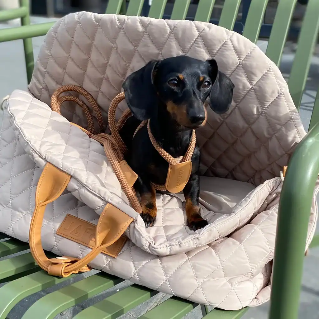 Elegante Dog Car Seat & Travel Bag