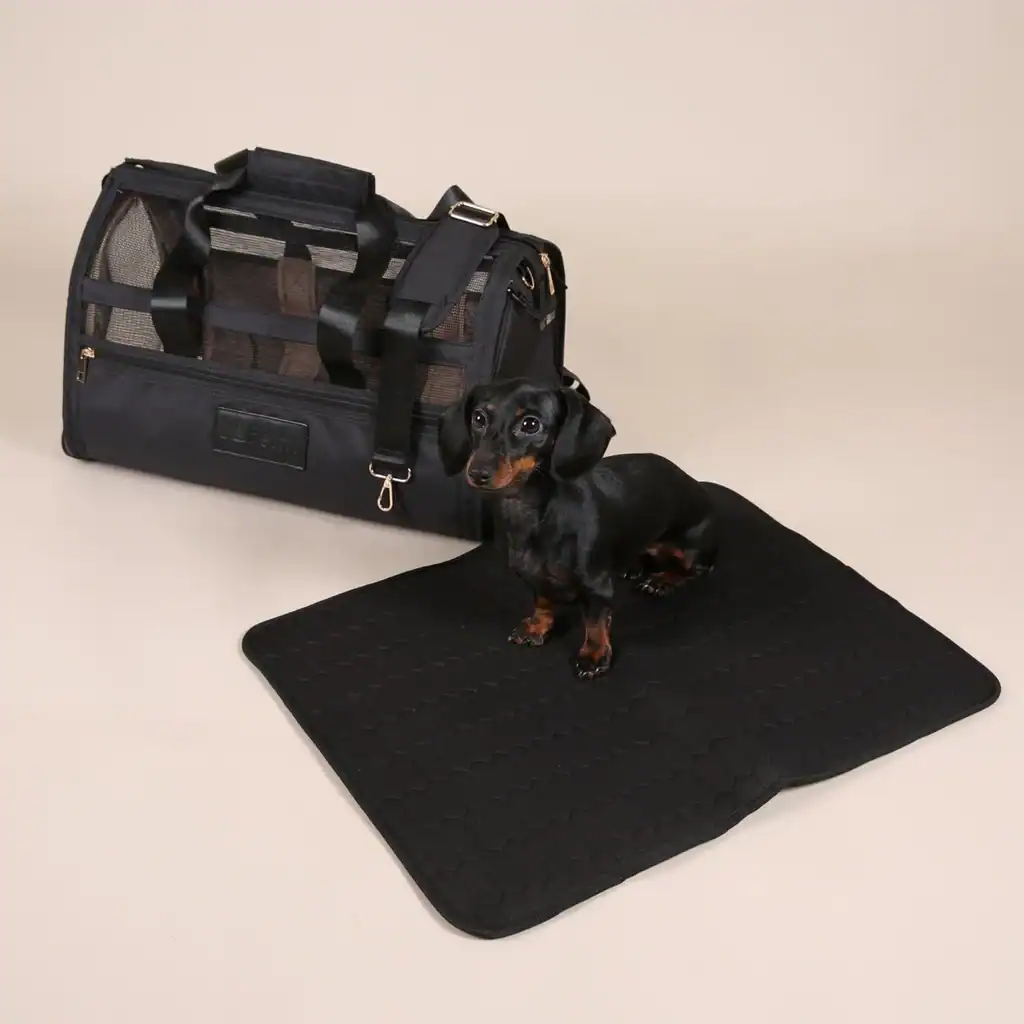 Cabin-Friendly Dog Carrier