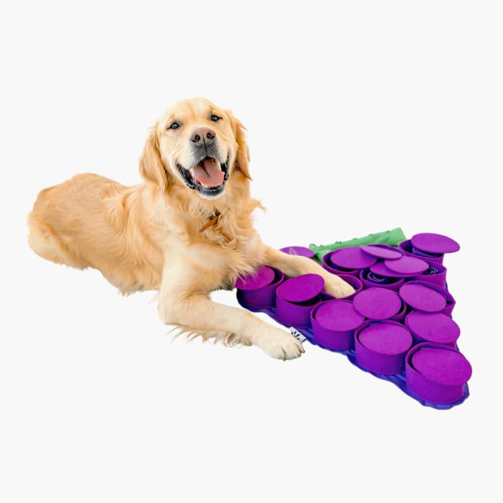 Forbidden Grapes Snuffle Mat