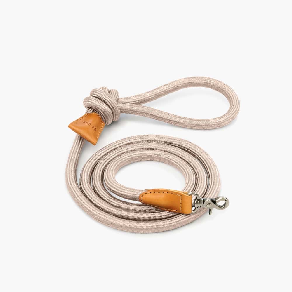 Laisse pour chien Ray, champagne