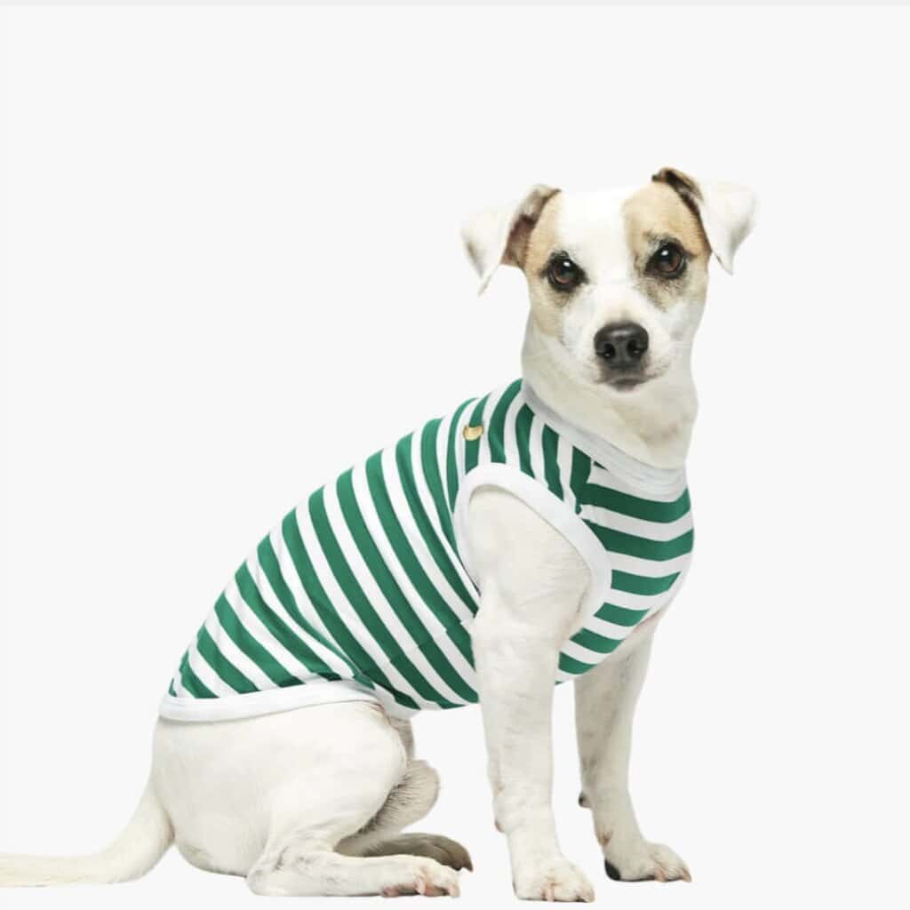Combinaison pour chien en coton Daniel, vert