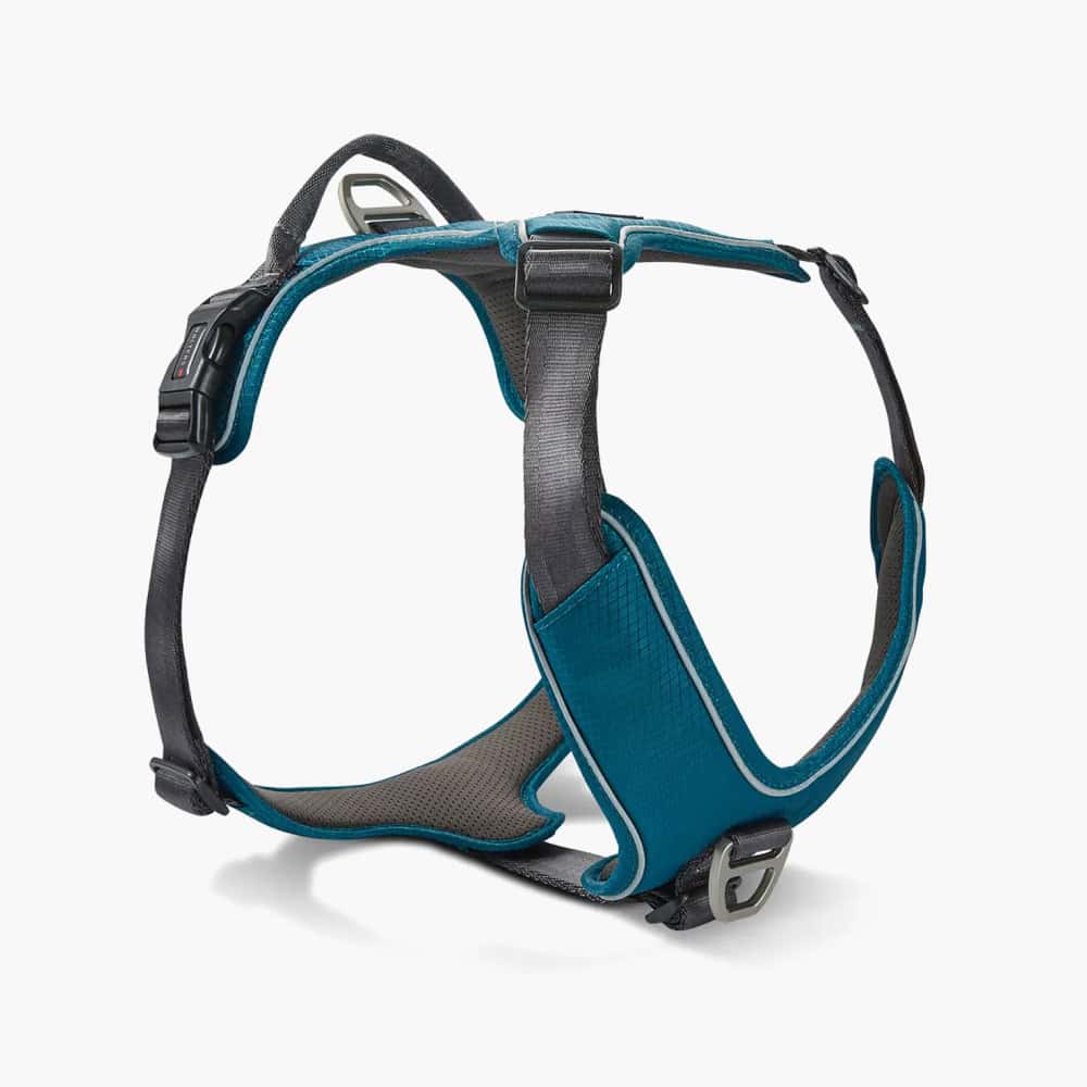 Active Pro Comfort Harness