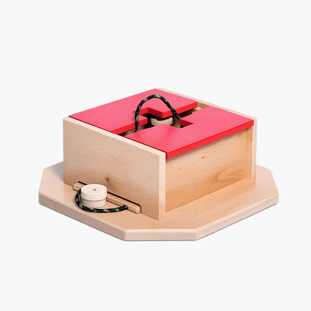 Swiss Cube Interactive Puzzle
