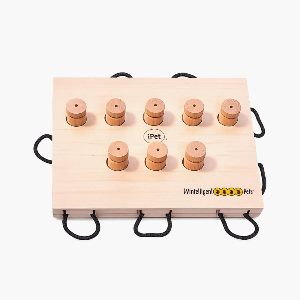 iPet Smart Dog Puzzle