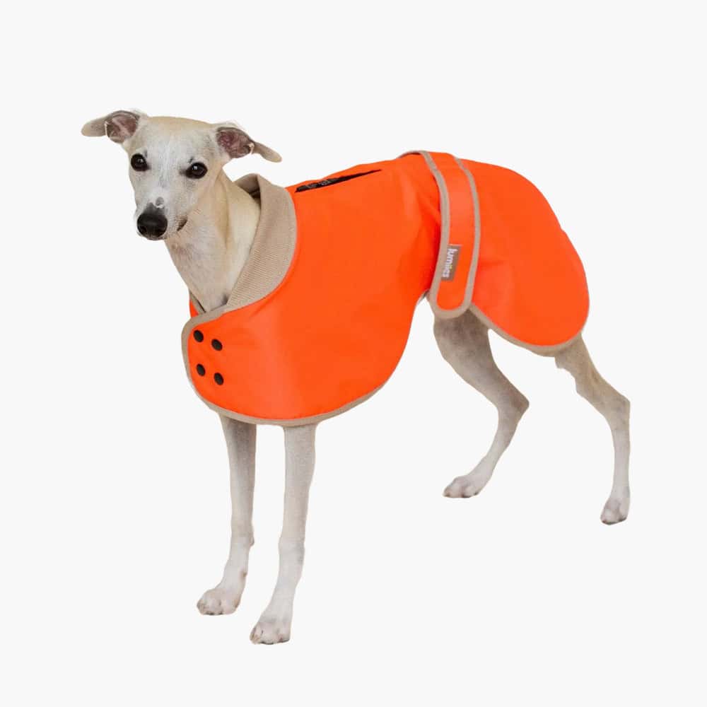 Glow Neon Raincoat Regular Fit