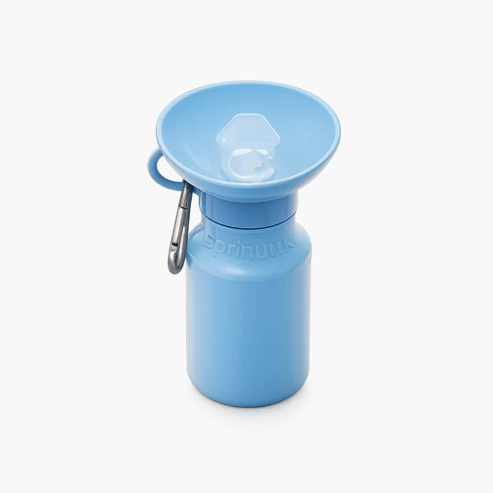 Portable Mini Dog Water Bottle