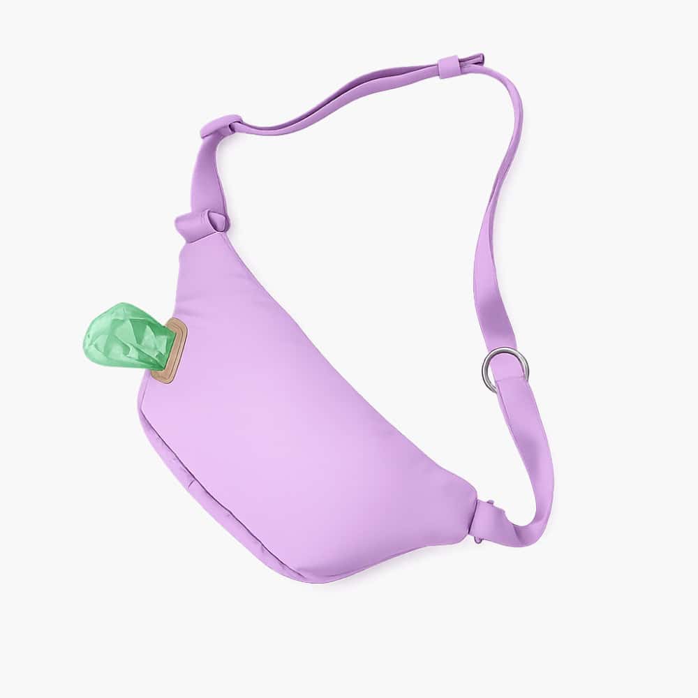 Hands-Free Dog Walking Bag