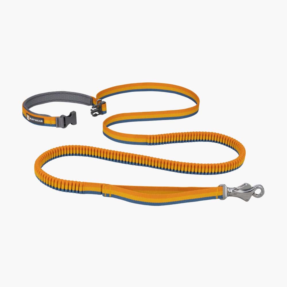 Ruffwear Roamer™ Stretch Running Dog Leash