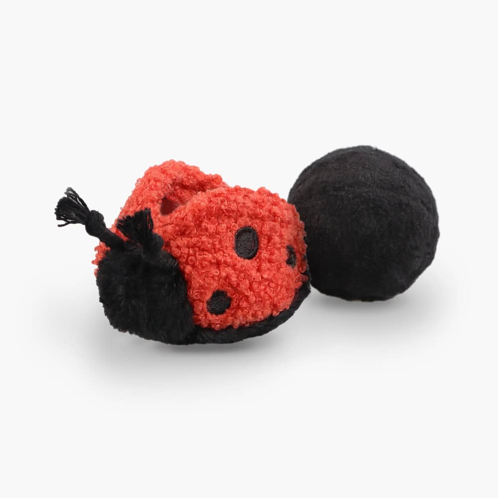 Ladybug Pop Enrichment Dog Toy