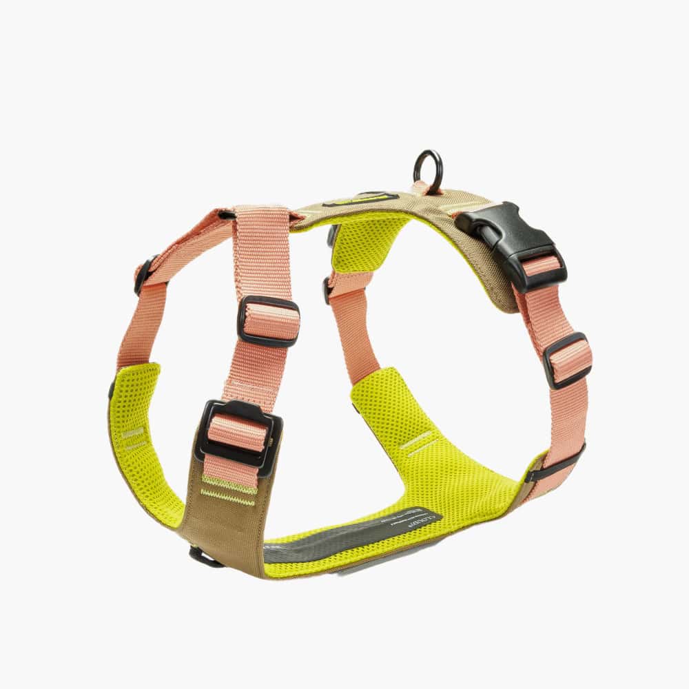 Cloud7 Y-2 AKTIV Cordura Dog Harness