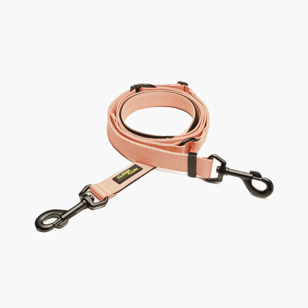 Cloud7 L-1 AKTIV Hands-Free Dog Leash
