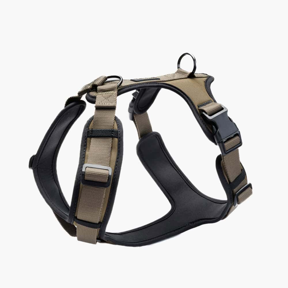 Cloud7 Y-2 AKTIV Cordura Dog Harness