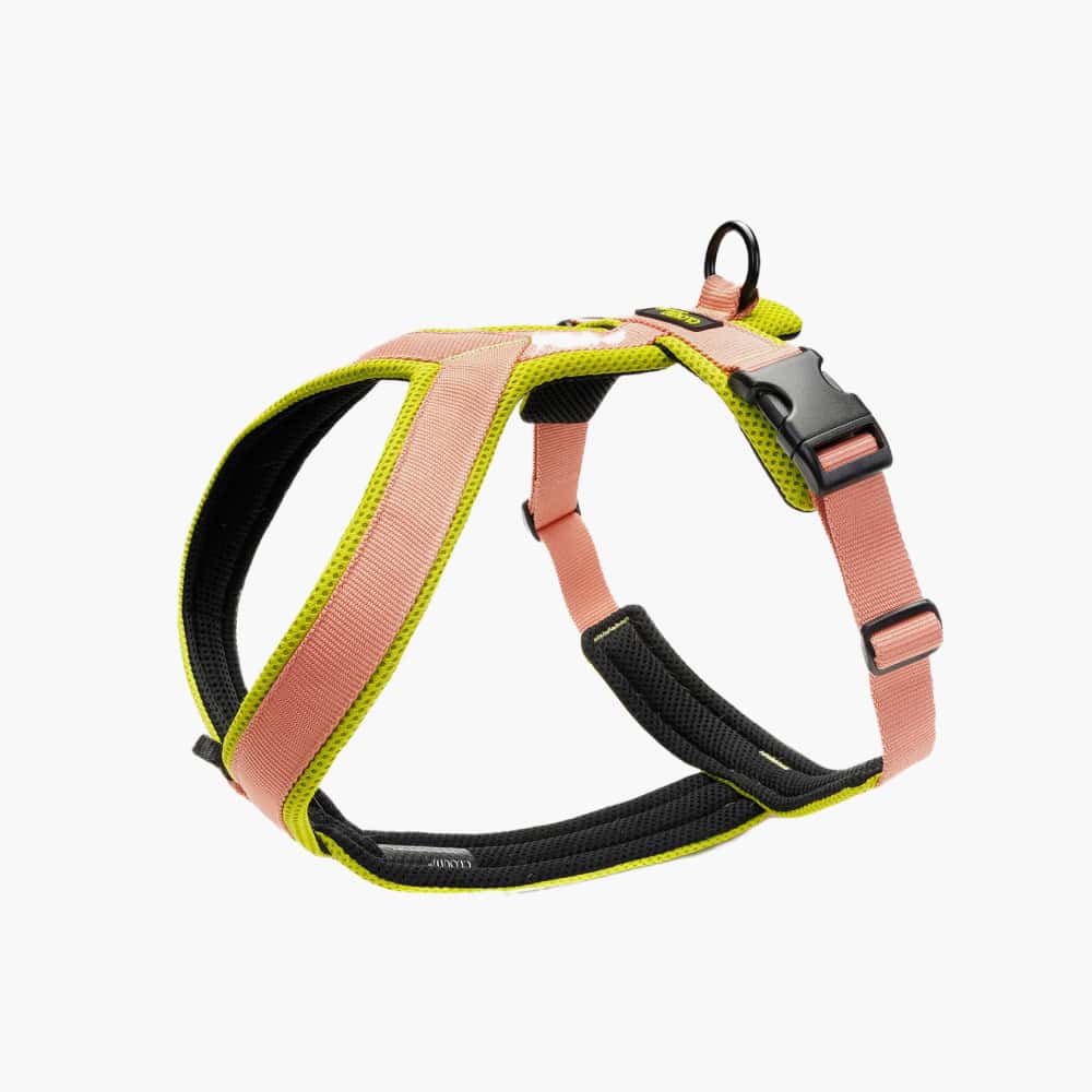 Cloud7 Y-1 AKTIV Air-Mesh Dog Harness