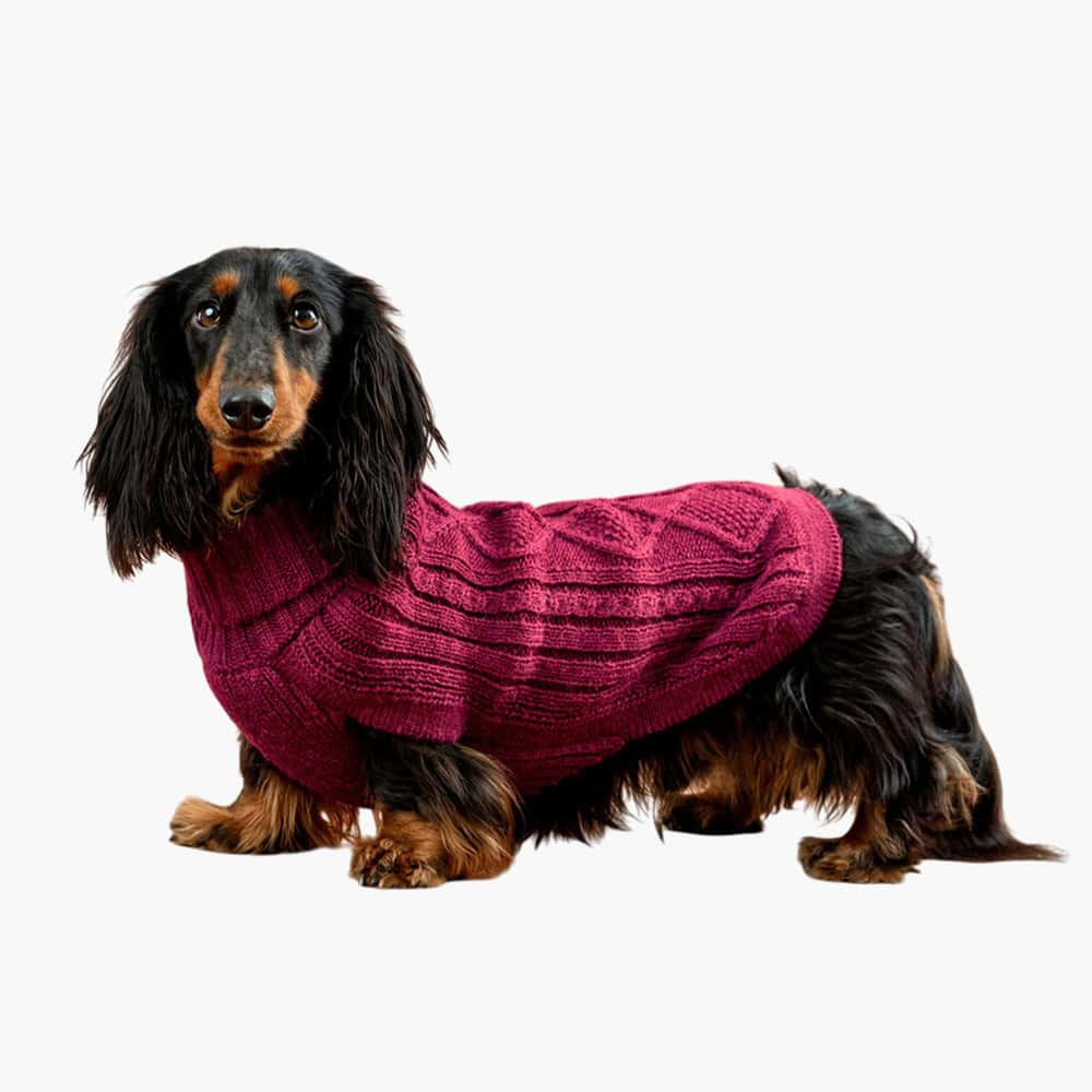 Blush Aran Alpaca Dog Sweater