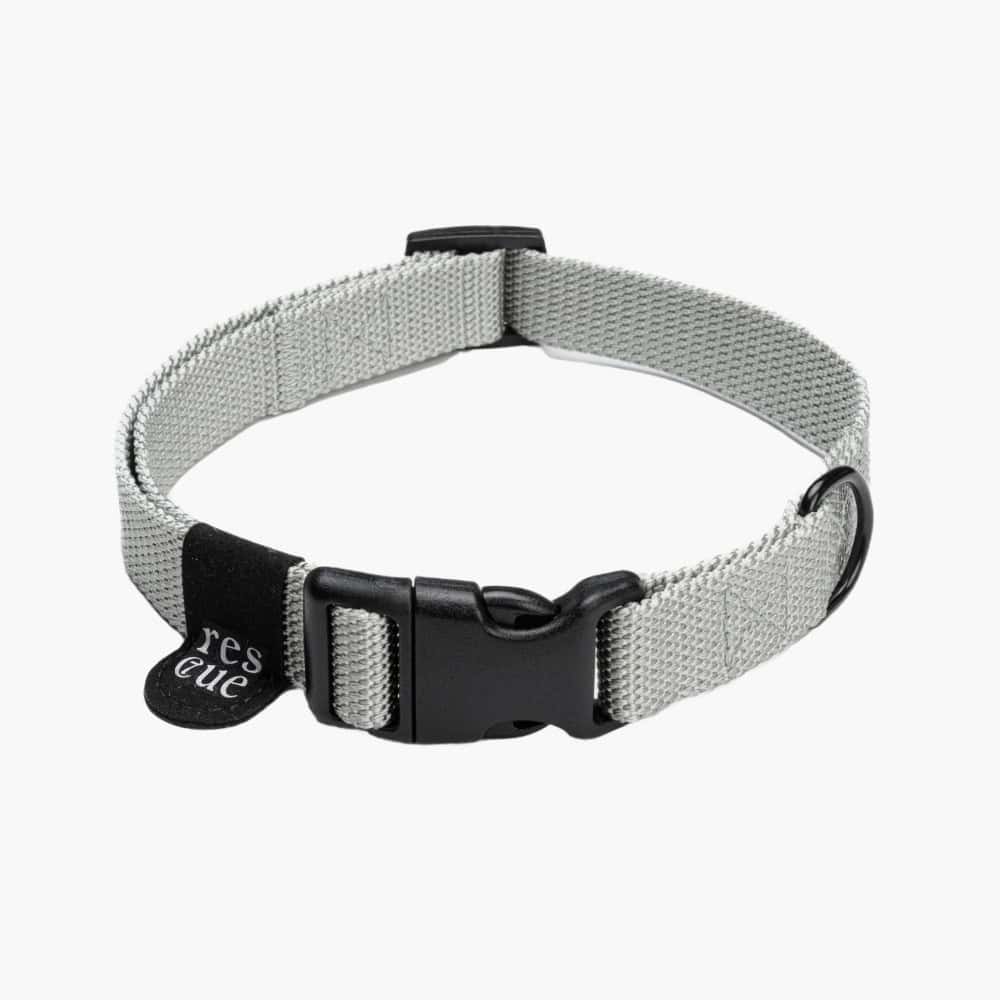 Nylon Dog Collar, Silver