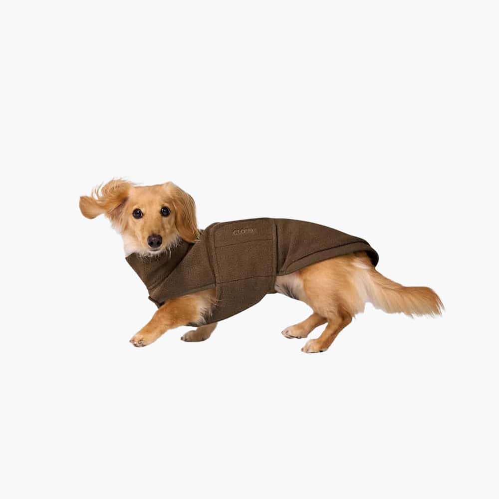 Cloud7 Derby 2.0 Dachshund Fleece Sweater