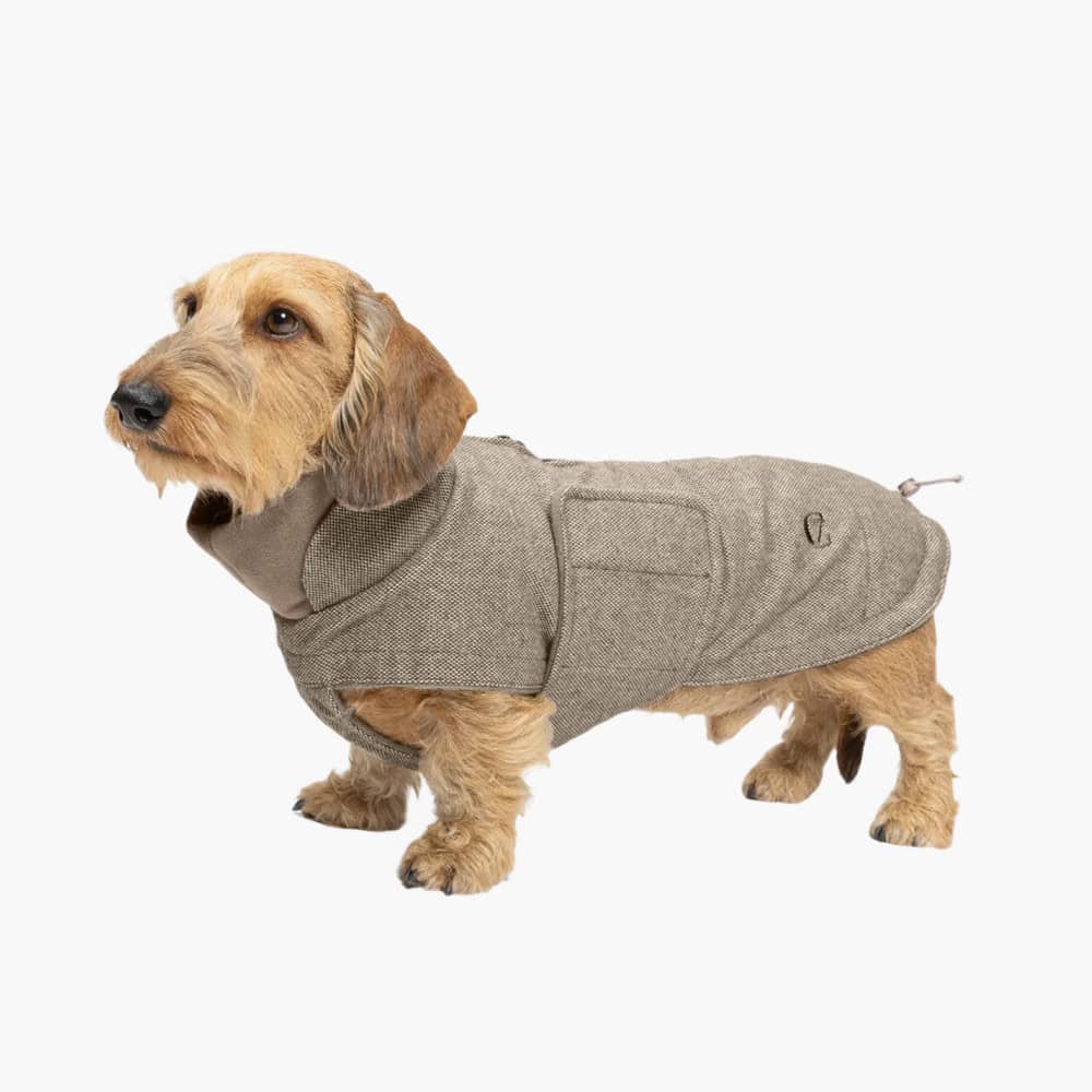 Cloud7 Brooklyn Tweed Winter Coat for Dachshunds
